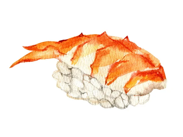Nigiri Sushi Med Med Tiger Räkor Isolerad Vit Bakgrund Akvarell — Stockfoto