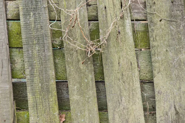 Chwiejny stary zielony deski ogrodzenia — Zdjęcie stockowe