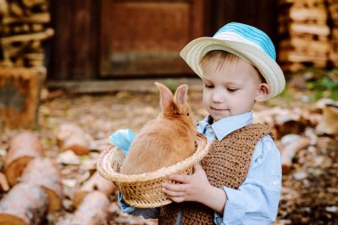 Çocuk bir tavşan ile çiftlikte