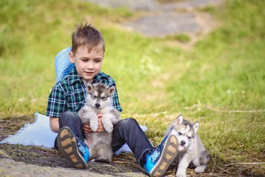 husky köpek yavrusu çocukla