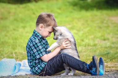husky köpek yavrusu çocukla