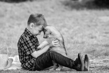 husky köpek yavrusu çocukla