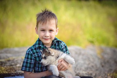 husky köpek yavrusu çocukla