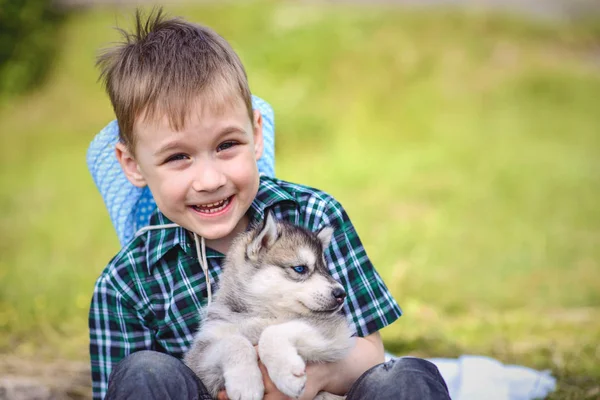 husky köpek yavrusu çocukla