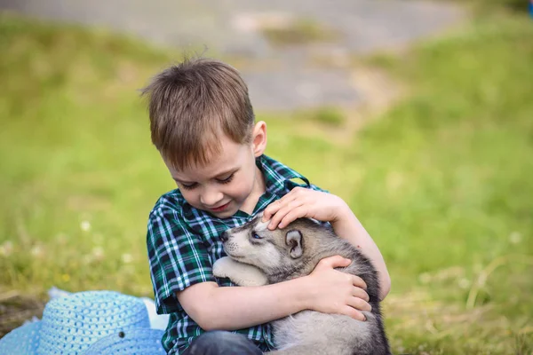 husky köpek yavrusu çocukla