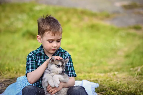 El muchacho con husky cachorro — Foto de Stock