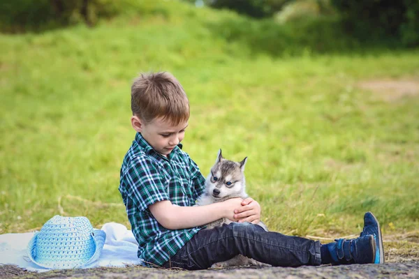 husky köpek yavrusu çocukla