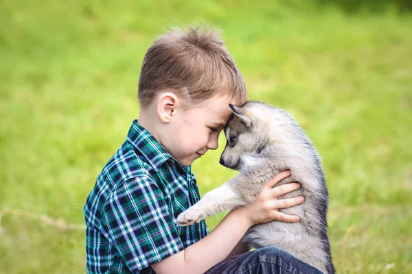 Il ragazzo con il cucciolo husky — Foto Stock
