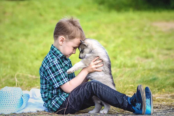 husky köpek yavrusu çocukla