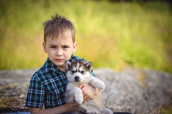 O menino com filhote de cachorro husky — Fotografia de Stock