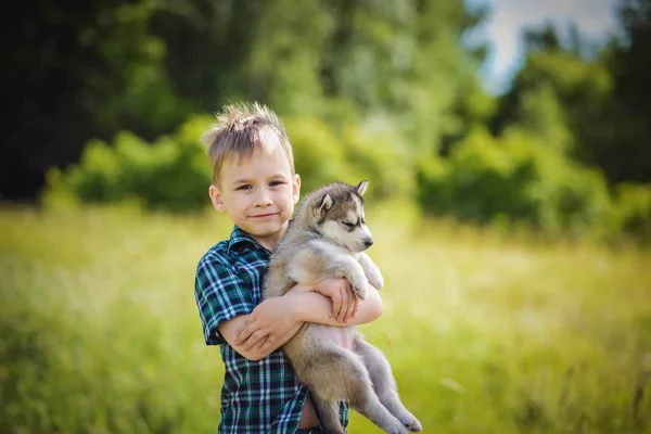 O menino com filhote de cachorro husky — Fotografia de Stock