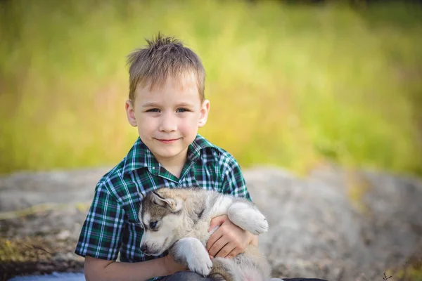 O menino com filhote de cachorro husky — Fotografia de Stock