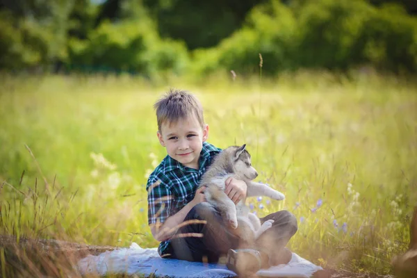 O menino com filhote de cachorro husky — Fotografia de Stock