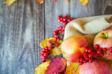 ahşap doku ile Kırmızı Rowan üzerinde kırmızı sarı elmalar