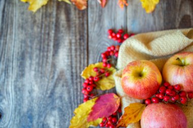 ahşap doku ile Kırmızı Rowan üzerinde kırmızı sarı elmalar