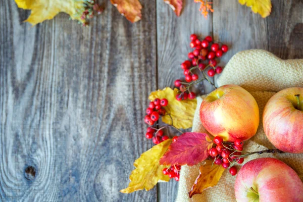 ahşap doku ile Kırmızı Rowan üzerinde kırmızı sarı elmalar