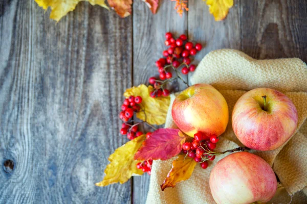 ahşap doku ile Kırmızı Rowan üzerinde kırmızı sarı elmalar