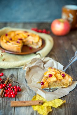 bir dilim elma rustik