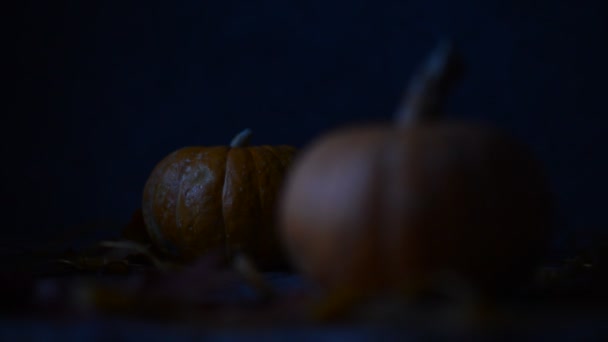 Dos calabazas en una plataforma de madera — Vídeos de Stock