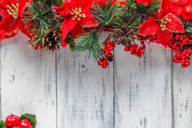 Ladin şube ve poinsettias beyaz bir arka plan üzerinde