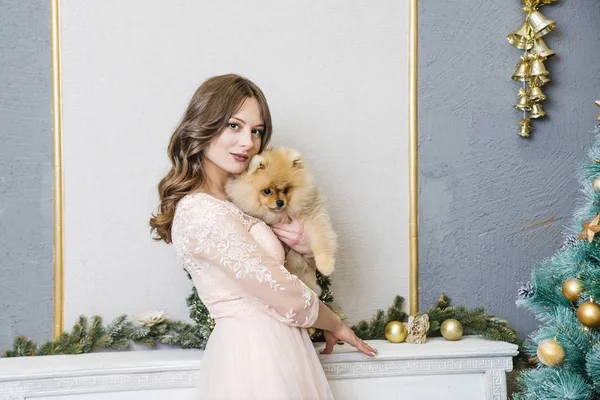 Mädchen im Kleid mit kleinem Hund am Weihnachtsbaum — Stockfoto