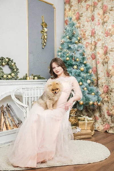 Mädchen im Kleid mit kleinem Hund am Weihnachtsbaum — Stockfoto