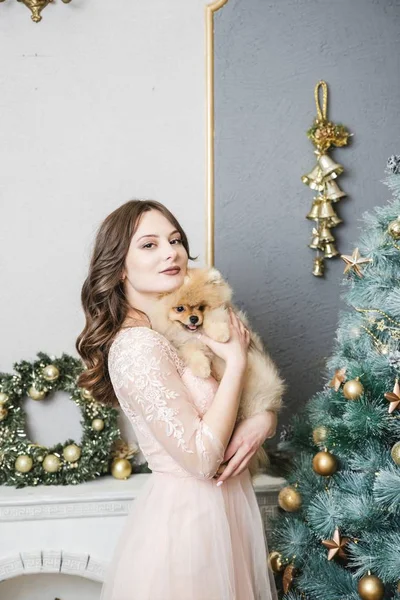 Mädchen im Kleid mit kleinem Hund am Weihnachtsbaum — Stockfoto