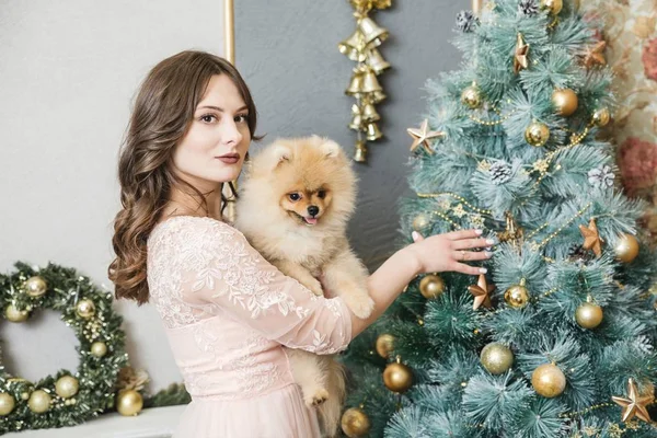 Mädchen im Kleid mit kleinem Hund am Weihnachtsbaum — Stockfoto