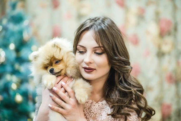 Menina em vestido com pequeno cão na árvore de Natal — Fotografia de Stock