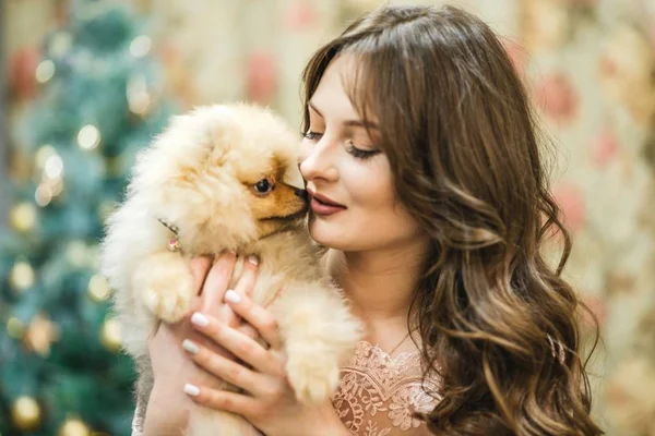 Noel ağacı, küçük köpekli elbiseli kız — Stok fotoğraf