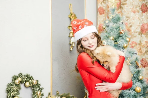 Mädchen im roten Kleid mit Hund in der Nähe eines Weihnachtsbaums — Stockfoto