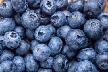 Sağlıklı yiyecek antioksidan yabanmersini yakın plan.