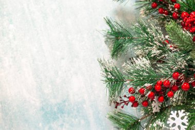 Mavi arka planda karla kaplı Noel köknar dalları