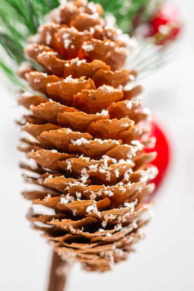 Pine cone with fir branches macro — Stock Photo, Image