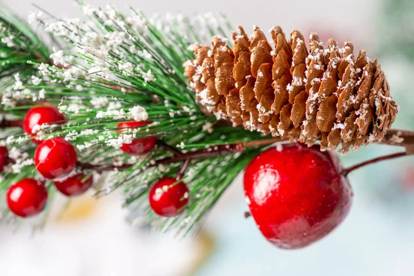 Albero di Natale ramoscello con cono macro — Foto Stock