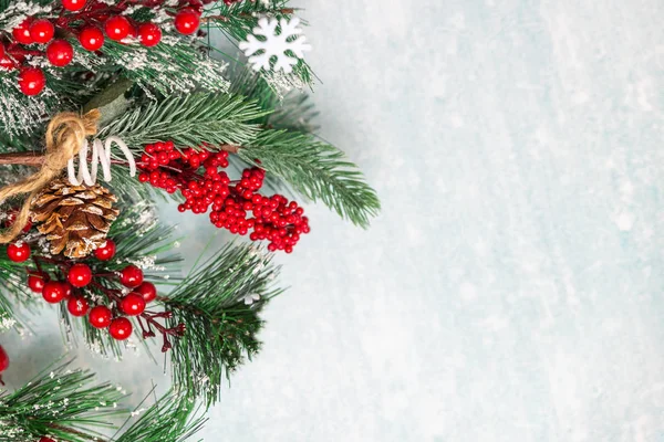 Mavi arka planda karla kaplı Noel köknar dalları