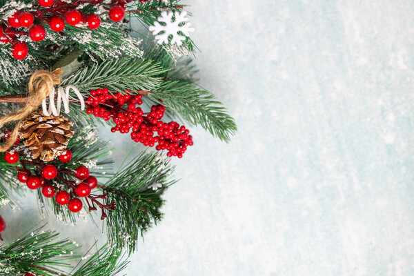 snow-covered Christmas fir branches on a blue background