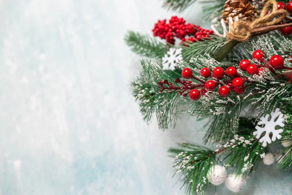 Mavi arka planda karla kaplı Noel köknar dalları