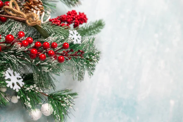 Mavi arka planda karla kaplı Noel köknar dalları