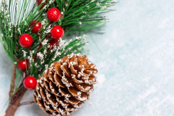 Albero di Natale ramoscello con cono macro — Foto Stock