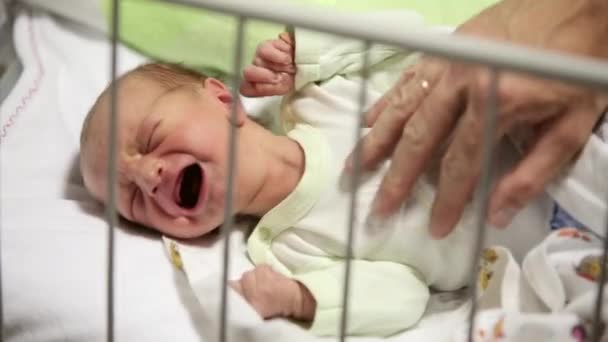 Bebé recién nacido llorando mientras su padre intenta consolarla, disparo de primer plano — Vídeo de stock