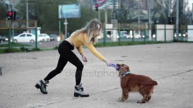 Sarışın kadın ve köpek yavru horoz İspanyol. Dalga geçiyor, çalış, gülüyor. Genel planı. Mutlu.