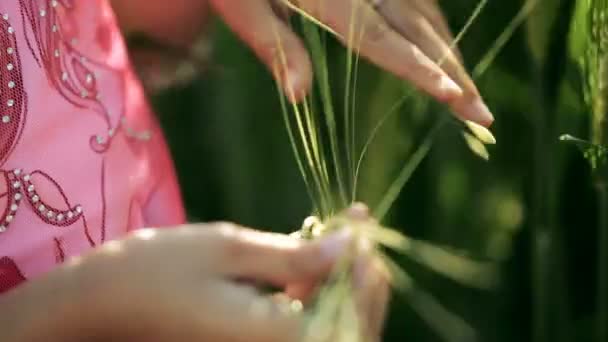 Kleines Mädchen, das in den Händen eine grüne Weizenähre in Großaufnahme fingert — Stockvideo