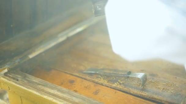 Homme d'hiver apiculteur, il fume dans un ulus pour calmer les abeilles et vérifier comment elles récoltent le miel. Fumeur d'abeille 