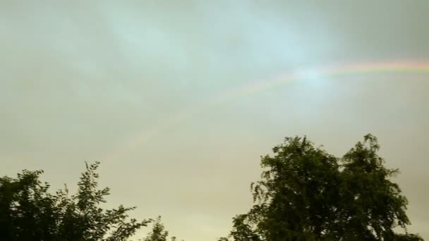 Arco-íris no céu, acima das árvores, contra o fundo de nuvens cinzas, depois da chuva — Vídeo de Stock