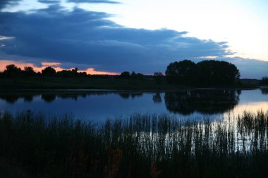 Dawn ve sis ile güzel gündoğumu ormanda yüzeyle sakin gölet.
