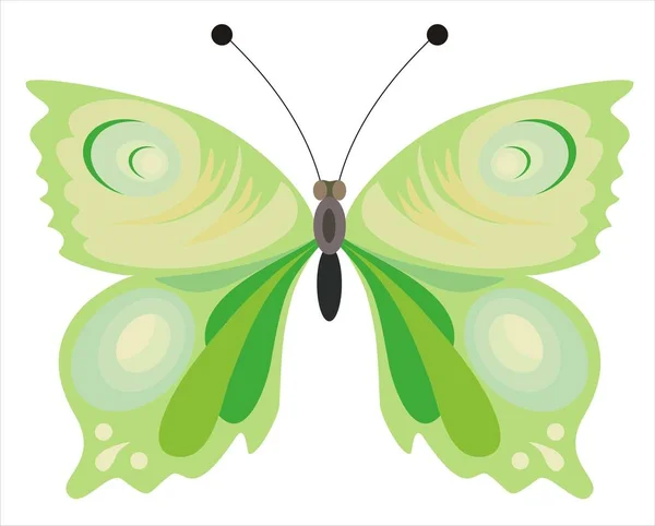 Krásný motýl zelený — Stockový vektor