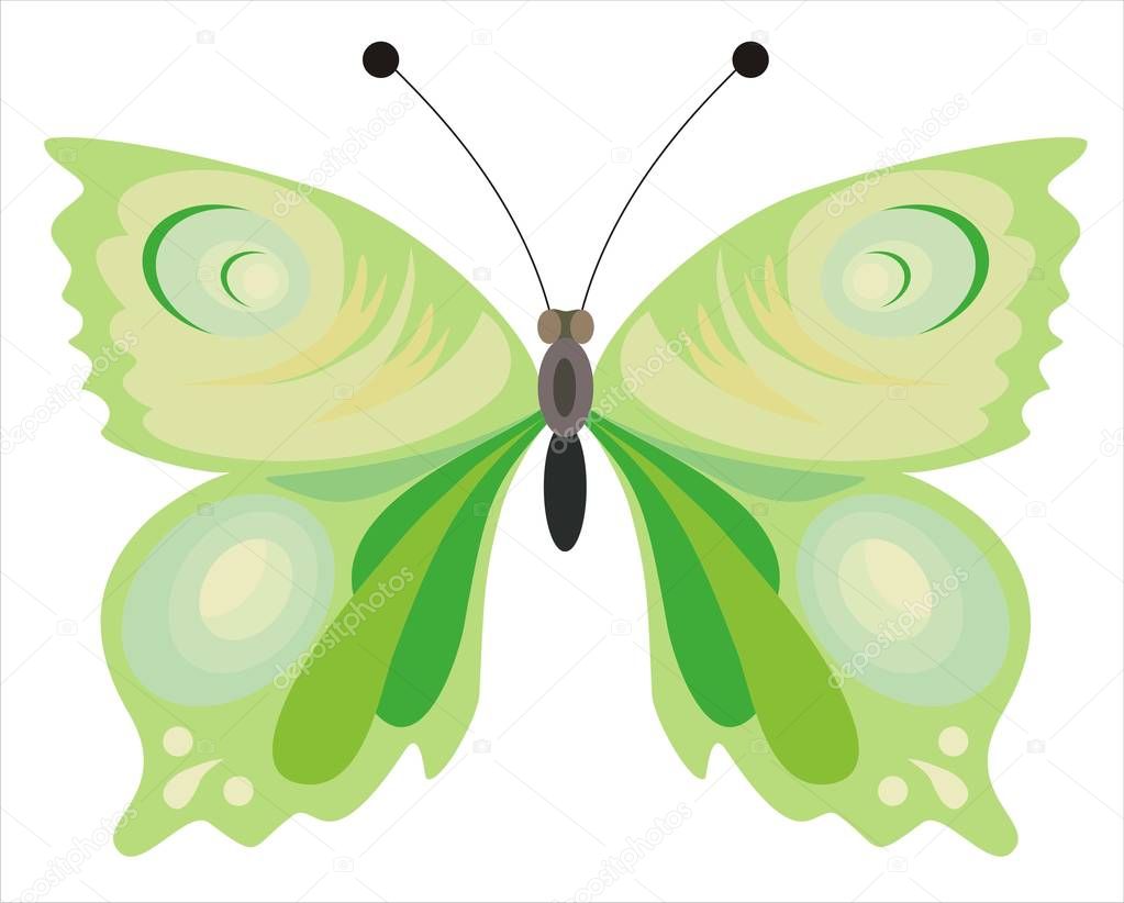 green beautiful butterfly