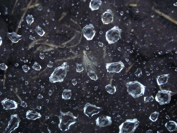 Spiderweb with drops of dew — Stock Photo, Image