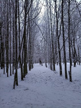 karla kaplı kış manzarası